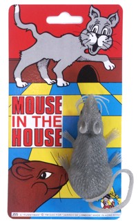 Mouse