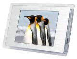 Falcon Digital Photo Frame Fridge Magnet