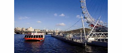 FAMILY Afternoon Tea Cruise on the Thames