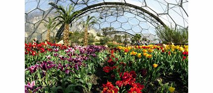 Entrance to The Eden Project