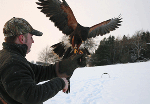 FAMILY Falconry Experience