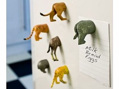 Animal Butt Magnets