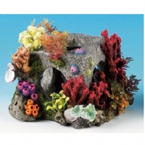 Classic Cubic Habitat Medium 5