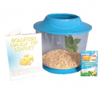 Pennine Plastic Fish Bowl Starter Kit Large