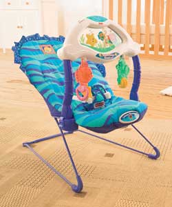 Ocean Wonders Aquarium Bouncer