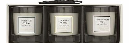 e Fragrance Mini Scented Candle Trio