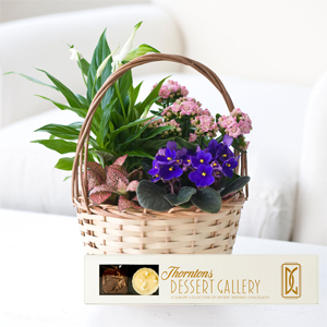 Small Autumn Indoor Basket with Dessert Chocolates