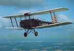 Flying 30 Minute Tiger Moth Flight