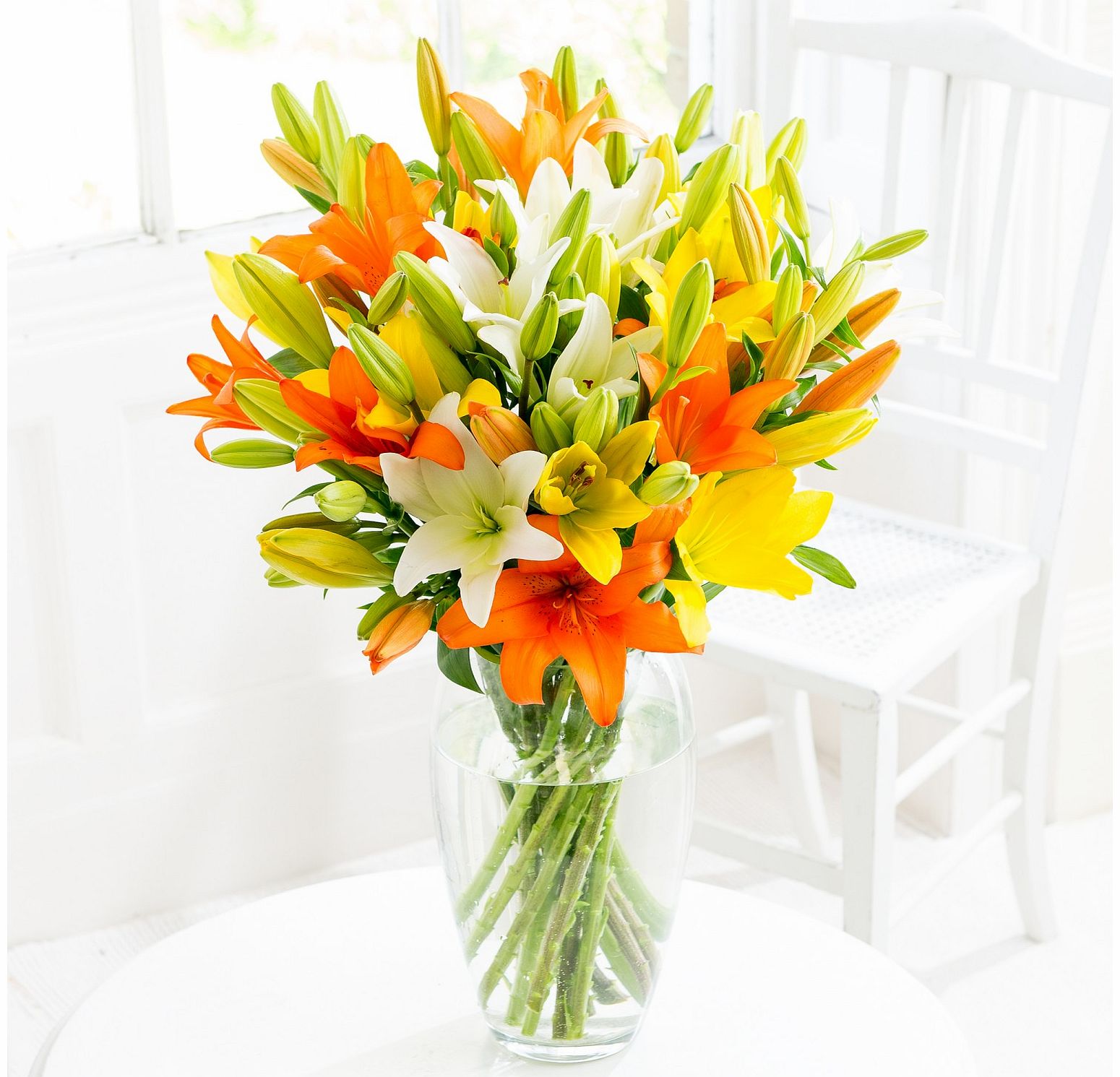 50 Lily Blooms