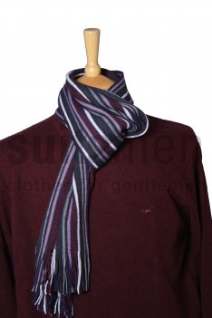 Mens Autumn Stripey Scarf