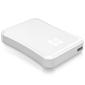 Formac 160GB DISK MINI HDD USB2 2.5`` FIREWIRE