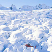 Fox Glacier Snow Landing Helicopter Flight - Adult