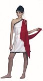 Ladies Fancy Dress Toga Costume