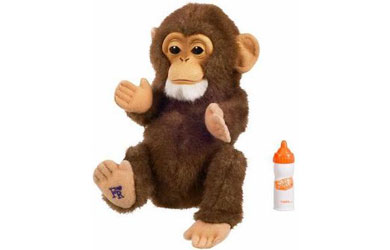 Newborn Chimp