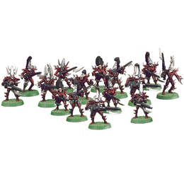 Dark Eldar Warriors