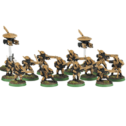 Tau Fire Warriors