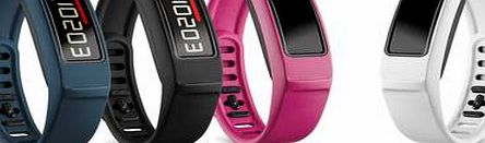 Vivofit 2 Fitness Band