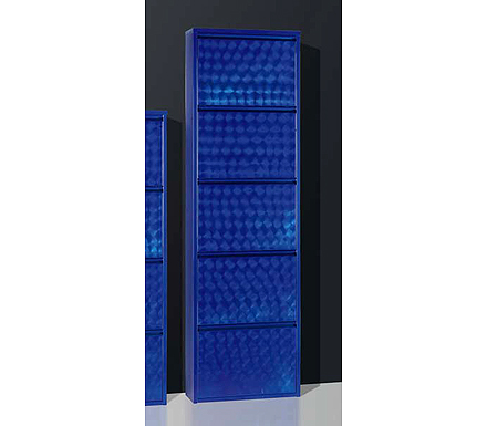 Adena 5 Drawer Shoe Cabinet in Blue