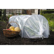 Giant Easy Poly Tunnel