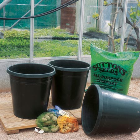 Growing Bucket and Potato Saver Pack 3