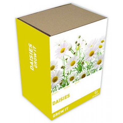 Grow It: Daisies