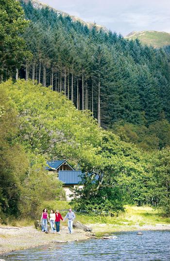 Golden Oak Cabin Holiday Park