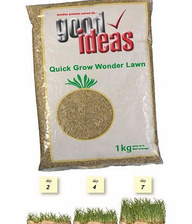 Good Ideas Quick Grow Wonder Lawn Seed (696) - Grow a luscious green lawn in days. Repair an old, tired lawn.