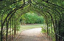 Gothic Pergola