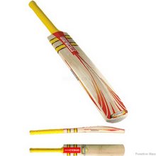 Gray Nicolls GRAY-NICOLLS Powerbow Blaze Cricket Bat