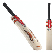 Ignite Carbo Cricket Bat