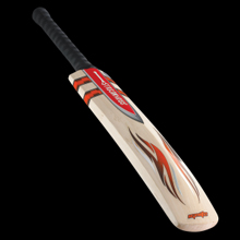 Gray Nicolls Ignite Centurion