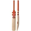 Phoenix Slayer Cricket Bat