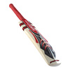 Predator 5 Star Junior Cricket Bat