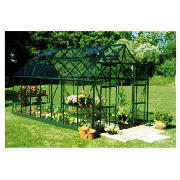 Green Frame Magnum 14x8 Horticultural Glass