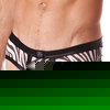 Gregg Homme kenya brief
