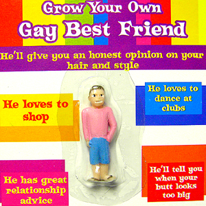 Gay Best Friend