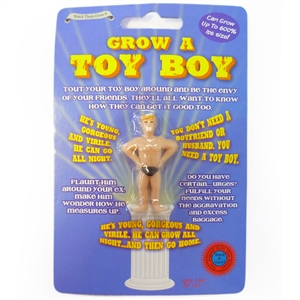 Toy Boy