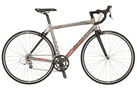 R 2 2008 Road Bike