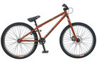 Ruckus UF 24 2008 Jump Bike