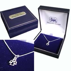 Angel Necklace with Personalised Box