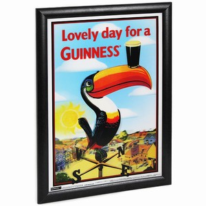 Toucan Hologram Framed Picture