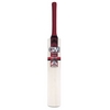 GUNN & MOORE ACADEMY PURIST ORIGINAL CRICKET BAT