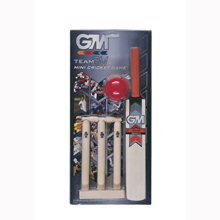 TEAM GM MINI CRICKET SET