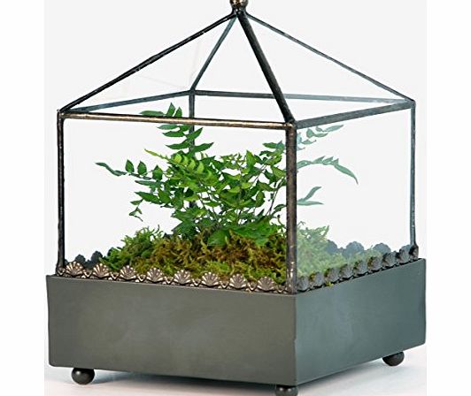 H Potter Square Glass Terrarium