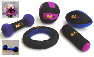 H20 Aqua Dog Toy