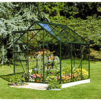 Green Framed Greenhouse 6 x 6