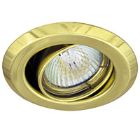 Mains Adjustable Downlight Brass