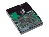 HP - Hard drive - 160 GB - internal - 3.5 - SATA-300