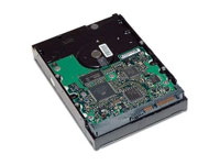 HP 250GB SATA 3GB NCQ 7200 HARD DISK DRIVE