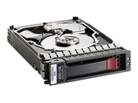 HP Dual Port Enterprise Server Hard Drive